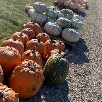 The Patch - Santa Maria - Pumpkin Patches Near Me - Santa Maria, California The Patch - Santa Maria - Pumpkin Patches Near Me - Santa Maria, California