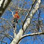 Photo of Fermin Tree Service