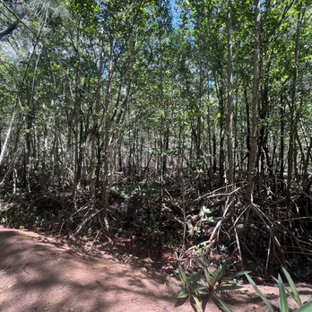 Oleta River State Park - Parks Near Me - North Miami Beach, Florida