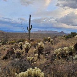 Brown's Ranch Trailhead
