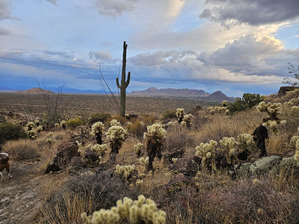 Brown's Ranch Trailhead Logo