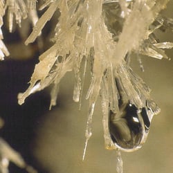 Grotte de Clamouse - Grotte de Clamouse
