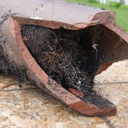 All Clear Sewer Works