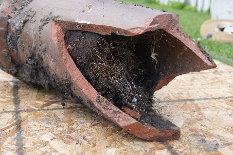 Slide of All Clear Sewer Works