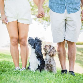 Frame Your Pet - Photographers Near Me
