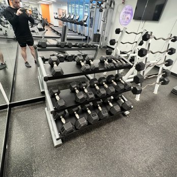 The Royal Sonesta Boston - Pretty sweet and varied weight rack - Hotels Near Me - Cambridge, Massachusetts The Royal Sonesta Boston - Pretty sweet and varied weight rack - Hotels Near Me - Cambridge, Massachusetts