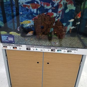 Petco - Fish tank - Pet Stores Near Me - Walnut Creek, California Petco - Fish tank - Pet Stores Near Me - Walnut Creek, California