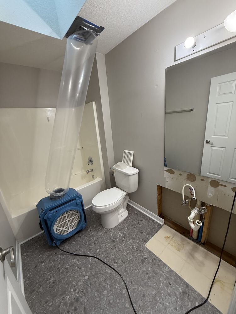 Florida Mold Control - mold inspector in Gainesville, FL