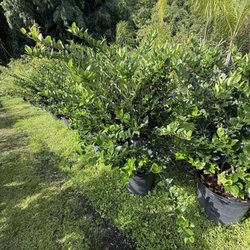 Liberty Landscape Supply