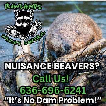 Rowlands Wildlife Control - Wildlife Control Near Me Rowlands Wildlife Control - Wildlife Control Near Me