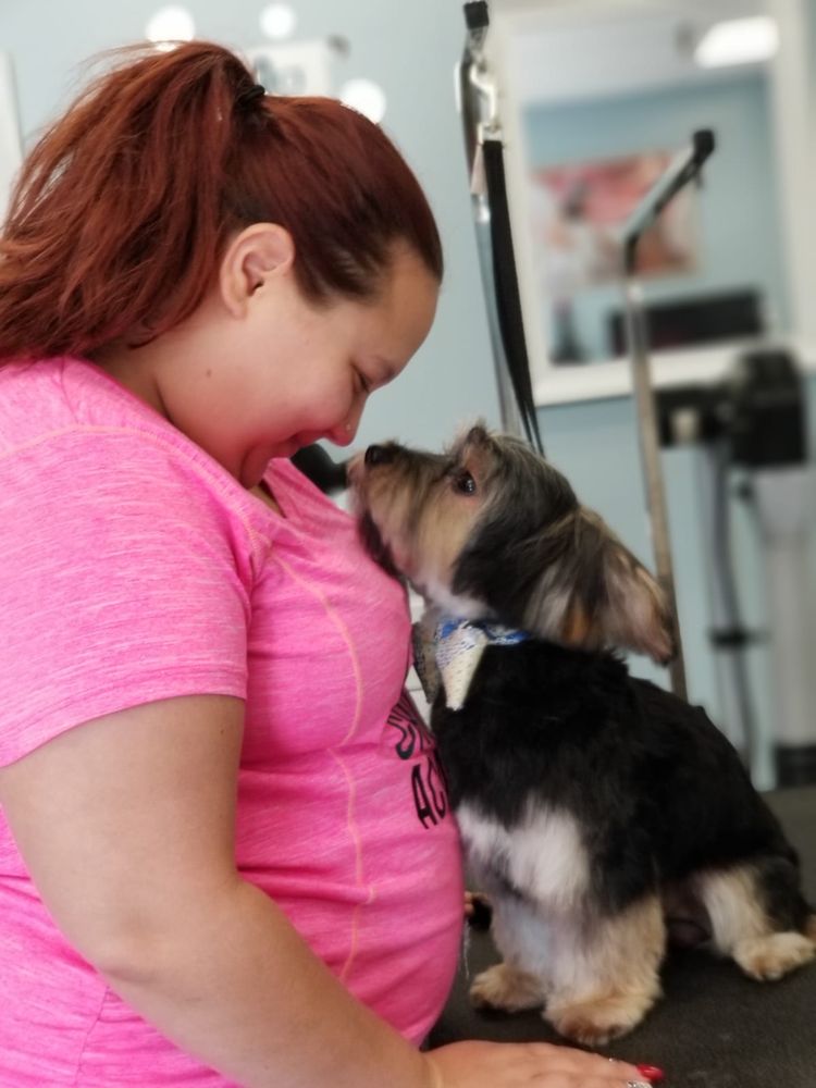 DOG GROOMER ACADEMY 77 Photos 523 S Chickasaw Trl, Orlando, Florida