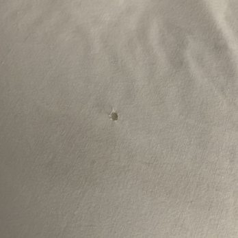 Super 8 by Wyndham Oroville - Cigarette burn holes in my sheets. - Hotels Near Me - Oroville, California Super 8 by Wyndham Oroville - Cigarette burn holes in my sheets. - Hotels Near Me - Oroville, California