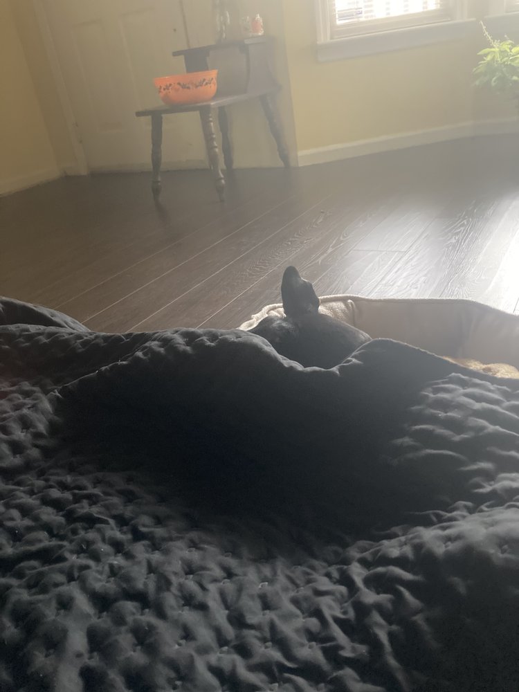 Slide of Xtreme Roofing & Home Improvement