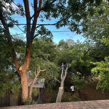 Ford Tree Service - Firewood Near Me Ford Tree Service - Firewood Near Me