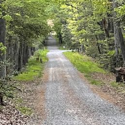 Trail to campsite