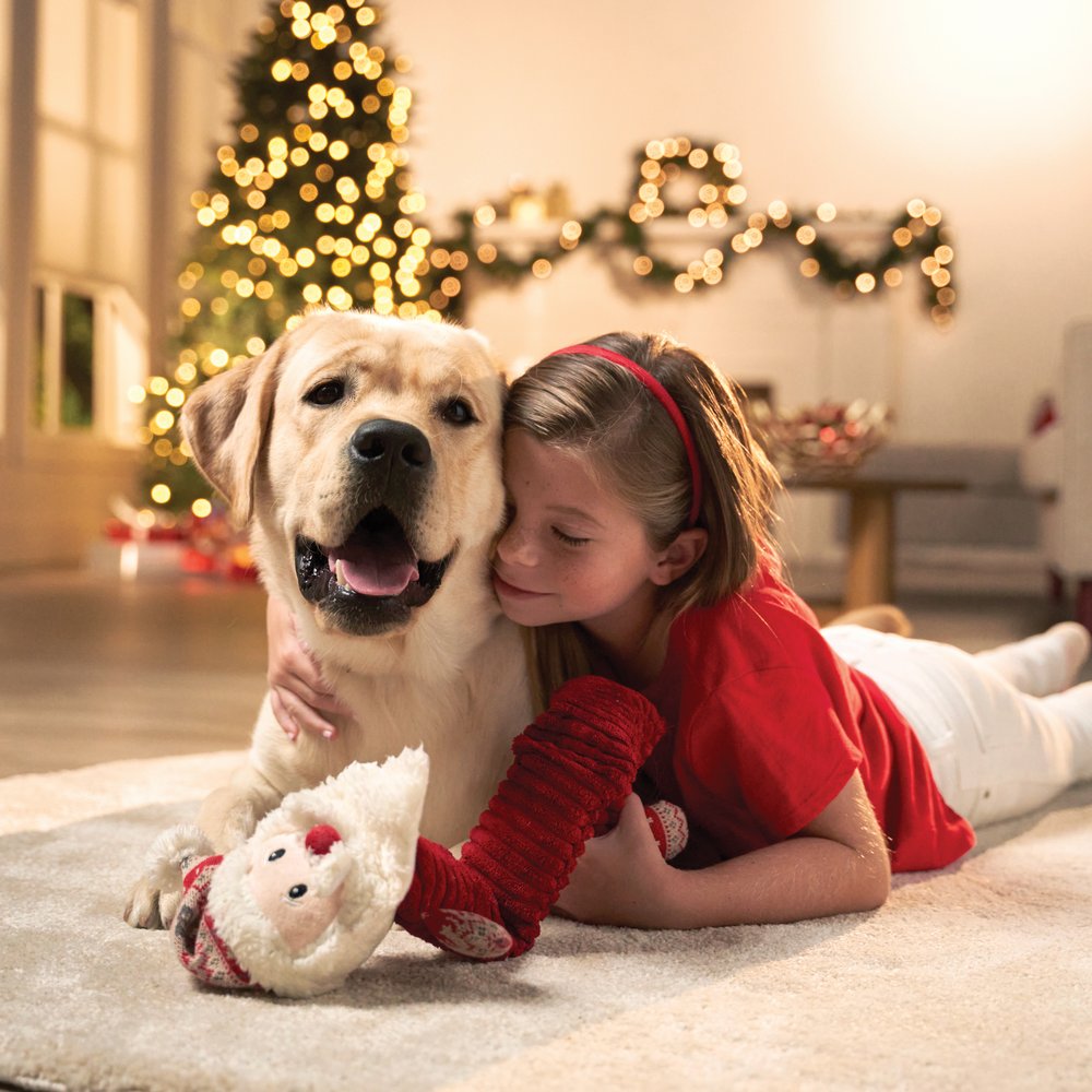 Pet Supermarket Image