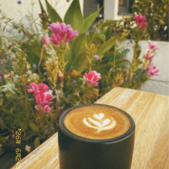 Devout Coffee - gibraltar - Coffee Roasteries Near Me - Fremont, California
