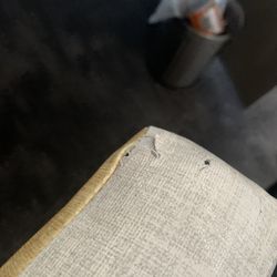 Atrium Hotel Heathrow - Torn chair