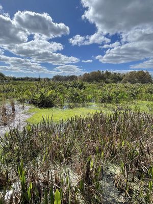 Green Cay Nature Center & Wetlands by null