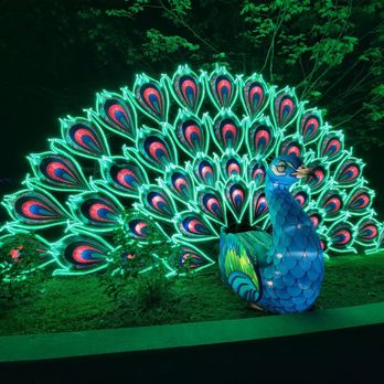 Franklin Park Zoo - Boston Lights 2023 @ Franklin Park Zoo - Zoos Near Me - Boston, Massachusetts Franklin Park Zoo - Boston Lights 2023 @ Franklin Park Zoo - Zoos Near Me - Boston, Massachusetts