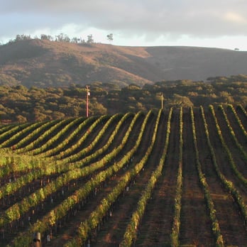 Clos Pepe Vineyards - Another beautiful day from my front porch. - Wineries Near Me - Lompoc, California Clos Pepe Vineyards - Another beautiful day from my front porch. - Wineries Near Me - Lompoc, California