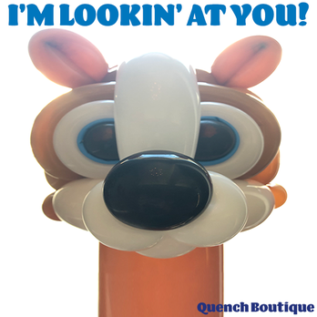 Quench Boutique - Our llama sample prize for our kid's art contest - he's 4ft tall!
& made by one of our artisan's balloonist Travis Kruis. - Gift Shops Near Me - Woodstock, Ontario Quench Boutique - Our llama sample prize for our kid's art contest - he's 4ft tall!
& made by one of our artisan's balloonist Travis Kruis. - Gift Shops Near Me - Woodstock, Ontario