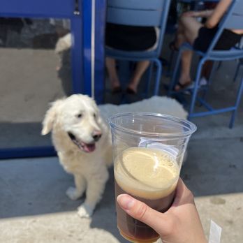Bark Social - Baltimore - Dog Parks Near Me - Baltimore, Maryland Bark Social - Baltimore - Dog Parks Near Me - Baltimore, Maryland