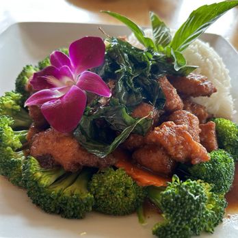 Pink Bee - Crispy Garlic Chicken - Sandwiches Near Me - Seattle, Washington Pink Bee - Crispy Garlic Chicken - Sandwiches Near Me - Seattle, Washington
