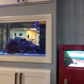 Eduardo Correa, DDS - Beautiful fish and two person Mario Kart gaming...fun! - Orthodontists Near Me - Orange, California Eduardo Correa, DDS - Beautiful fish and two person Mario Kart gaming...fun! - Orthodontists Near Me - Orange, California