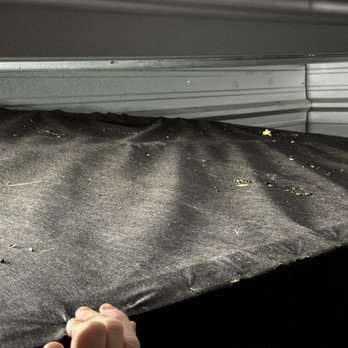 Public Storage - More feces on box spring. - Self Storage Near Me - Cypress, Texas Public Storage - More feces on box spring. - Self Storage Near Me - Cypress, Texas