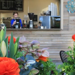 The Coffee Stand At Sky Nursery - The Coffee Shop at Sky Nursery