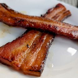 Ovenbird - Bacon