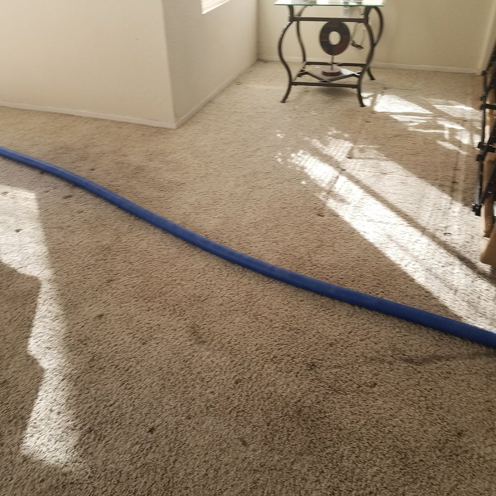Moreno Carpet Cleaners - Carpet Cleaning Near Me