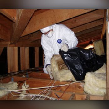 Nuke'Em Pest Control - Insulation Removal - Pest Control Near Me Nuke'Em Pest Control - Insulation Removal - Pest Control Near Me