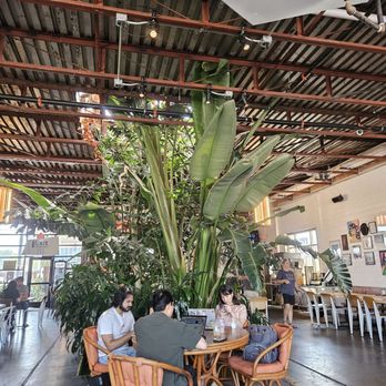 FireHouse Gastro Park - Coffee & Tea Near Me - Grand Prairie, Texas FireHouse Gastro Park - Coffee & Tea Near Me - Grand Prairie, Texas