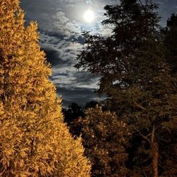 Bears Breath Bar & Grill - Autumn in the Trinity Alps