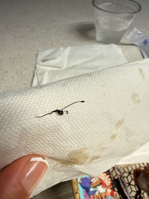 Soupa Noodle Bar by null