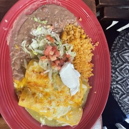 Shredded Chicken Enchiladas