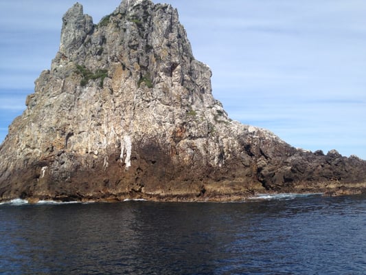 Dive! Tutukaka by null