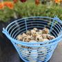 Qwazy Quail Farm