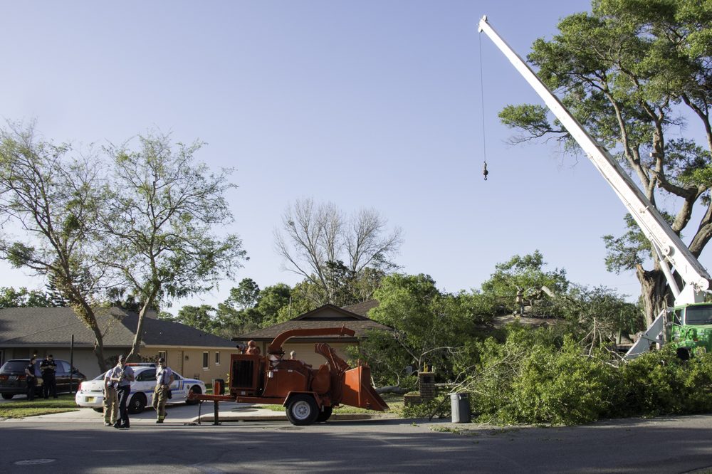 Grant's Tree Service - tree service in Orlando, FL