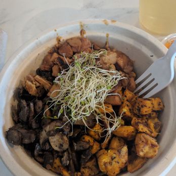 Vale Healthy Kitchen - Teriyaki chicken, sweet potatoes, mushrooms - a flavorful but salty combo - Acai Bowls Near Me - Gainesville, Florida