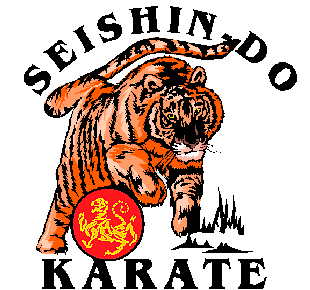 Seishin-DO Systems & Martial Arts Supplies