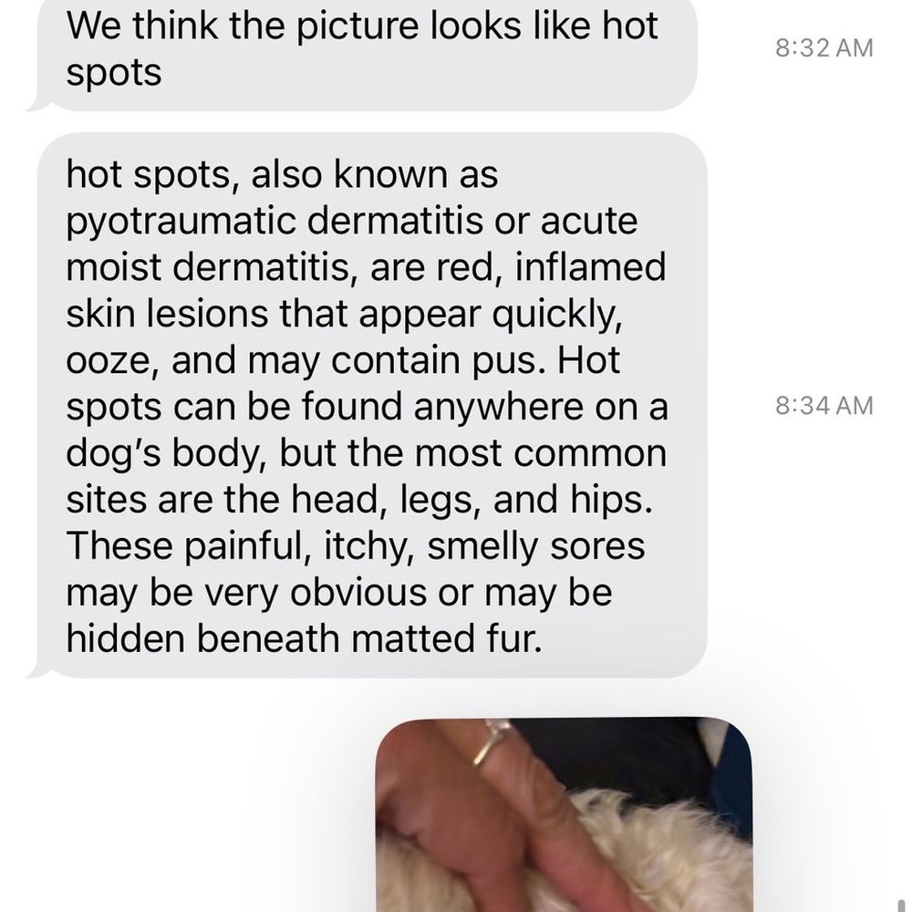 Happy Dog Grooming - Groomers response - Pet Groomers Near Me - Ontario, California Happy Dog Grooming - Groomers response - Pet Groomers Near Me - Ontario, California