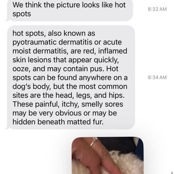 Happy Dog Grooming - Groomers response - Pet Groomers Near Me - Ontario, California Happy Dog Grooming - Groomers response - Pet Groomers Near Me - Ontario, California