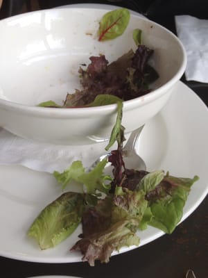 Pasta Beach RW - Boston by null