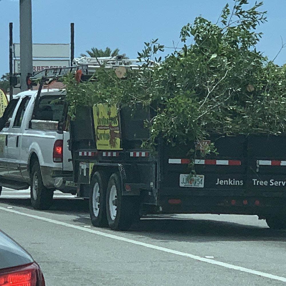 Jenkins Tree Service - Unsecured load. - Tree Services Near Me Jenkins Tree Service - Unsecured load. - Tree Services Near Me