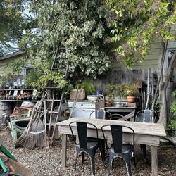 The Antique Gardener