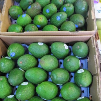 New Generation Produce - avocados - Fruits & Veggies Near Me - Brooklyn, New York New Generation Produce - avocados - Fruits & Veggies Near Me - Brooklyn, New York