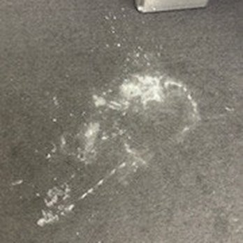 San Diego Steemer - Candle wax removed! - Carpet Cleaning Near Me - San Diego, California San Diego Steemer - Candle wax removed! - Carpet Cleaning Near Me - San Diego, California